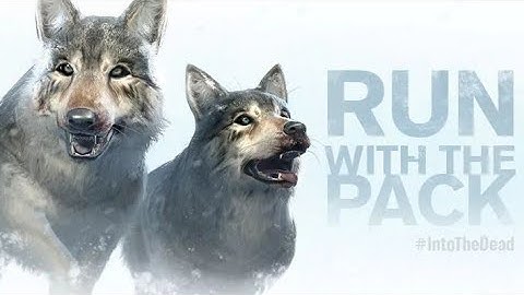 Running With Wolves! Frostbitten Event! Into The Dead 2