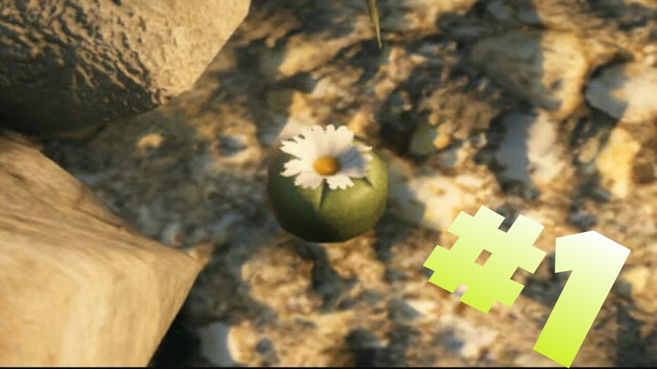 лофофоры в гта. лофофоры в gta 5. кактусы гта. вся карта гта 5. лофофора чилиад.