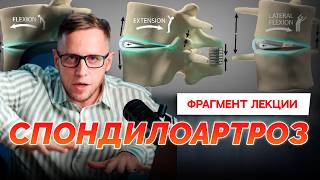 Как разрушаются суставы в позвоночнике