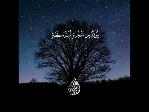 الله نور السموات والارض شريف مصطفى