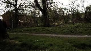 Penny Boarding: Spring 2013