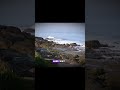 The Beach That Doesn’t Let You Leave | True Horror Story Based on a Cursed US Beach #horrornarration