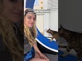 Never ending performance 🎤😹 #catsoftiktok #singingcat #naughtycats #catfluencer #bengalsoftiktok