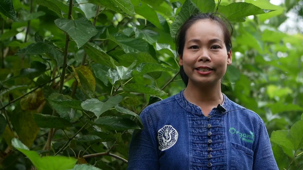 เกษตรกรต้นแบบด้านหม่อนไหมตามแนวเกษตรทฤษฎีใหม่ จ อุบลราชธานี