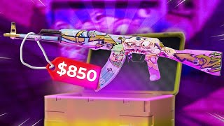Pulling a $850 Be The Monster AK-47 On Skin Rave!!