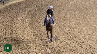 Kentucky Derby Winner Mystik Dan Returns to the Track For First Time Since Derby Triumph