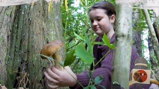 Hunter-gatherer child shares how to forage for food-safe fungi - Kea Kids News