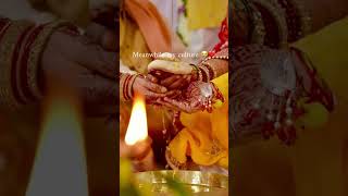 bihari culture 🧫 #trending