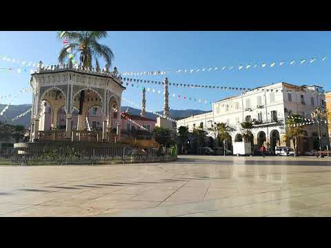 ساحة التوت من ولاية البليدة