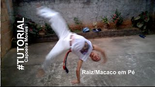 Tutorial #9 Macaco em Pé /  Macacão / Raiz