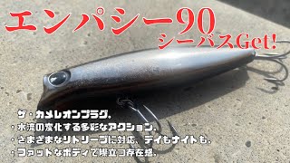エンパシー90でシーバスGET！！