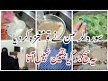 Surah Rahman powerful wazifa 💁‍♀||mojza ho gya 😯🤲