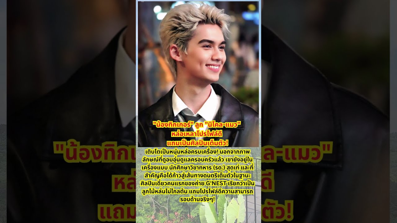 "น้องทิกเกอร์" ลูก "นิโคล-แมว" หล่อเหลาโปรไฟล์ดี #บันเทิง #ข่าวบันเทิง #ข่าวดารา #ข่าวเด็ด #ทิกเกอร์