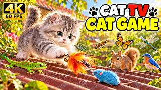 CAT GAMES | Ultimate Cat TV – Blue Mice, Bees, Squirrels & New Critters | CAT TV