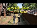 بحيرة تانا اثيوبيا بحيرة تانا اثيوبيا
