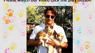 AnimalAid USA Needs your help