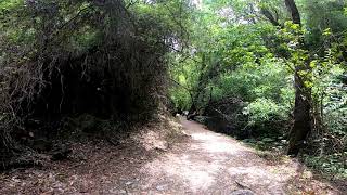 Ruta sendero majaceite, El Bosque