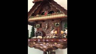 2015 Coo Coo Clock from Blackforest in Germany