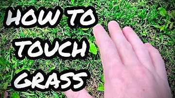 HOW TO TOUCH GRASS (BEGINNER TUTORIAL)