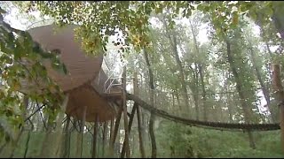 Ungewöhnlich übernachten: Natur und Nervenkitzel im Wolfcenter Dörverden