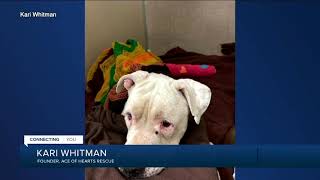 23ABC News Latest Headlines | April 16, 8am