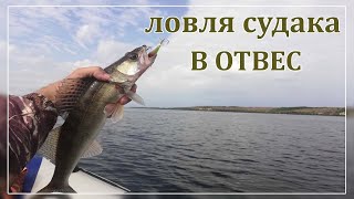 Ловля судака осенью с лодки.Судак в отвес на балансир.