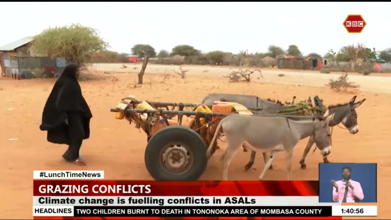 Climate change increases conflicts due to resource scarcity