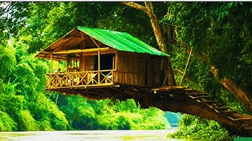 A Man Built a Tree House in 30 DAYS. Start To Finish.#survival #building #treehouse #campping #fff