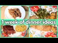 Easy dinner ideas  whats for dinner 325  1week of real life family meals