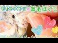 セキセイインコの『筆毛ほぐし』は慎重にね！【vlog-018】Budgerigar Care