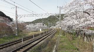 289系 くろしお24号 新大阪行 J4編成