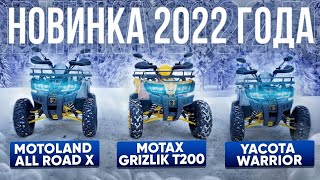 Обзор квадроцикла Motoland All Road X 200.( WARRIOR)