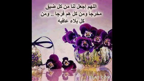 سورة الماعون   المصحف المرتل برواية ورش عن نافع الشيخ  محمد القصطالي