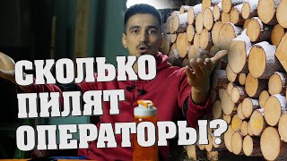 Сколько кубов леса пилят операторы?