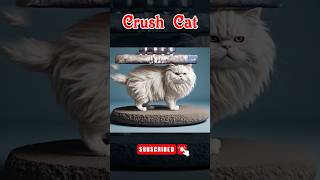 Hydraulic Lift Vs. Cat Crushing Experiment