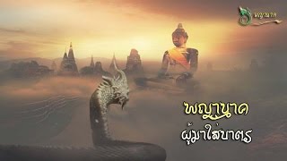 พญานาคผู้มาใส่บาตร |13-12-59 |พญานาคOfficial