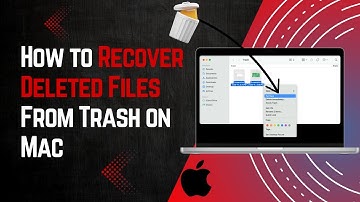 How to Recover Deleted Files From Trash on Mac