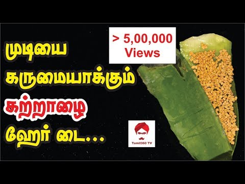 #Hairdye முடியை கருமையாக்கும் கற்றாழை ஹேர் டை | Make your hair black Naturally with Aloe Vera