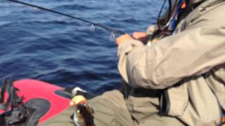Raymarine Dragonfly vertical spinnig for pike pearch Westin twin teez