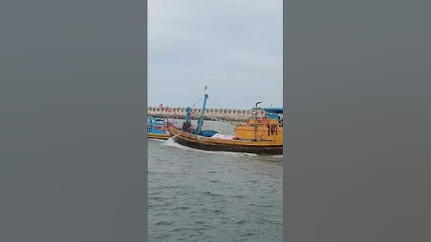 shorts ghe lặng sò, đã trúng hàng tấn sò, đã vào cửa biển