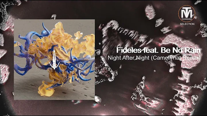 Fideles feat. Be No Rain - Night After Night (CamelPhat Remix) [Afterlife Records]