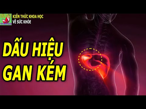 Video: Cơ Thể Như Một Biểu Hiện Của Bóng Tối