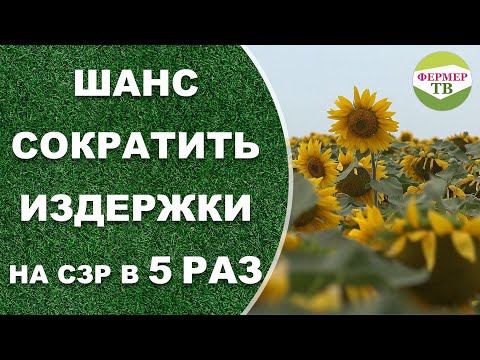 ШАНС сократить издержки на СЗР в 5 раз