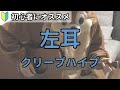 左耳/クリープハイプ/ギター弾き語り練習用動画(コード/ストローク/歌詞)