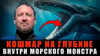 видео: ПРОГЛОЧЕН ЖИВЬЕМ: 30 секунд в пасти кита и невероятное спасение дайвера картинка: ПРОГЛОЧЕН ЖИВЬЕМ: 30 секунд в пасти кита и невероятное спасение дайвера