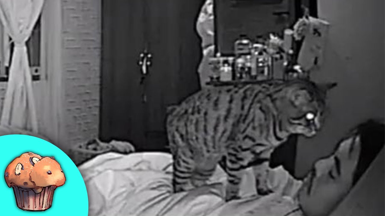 r/Oddlyterrifying • wake up papa