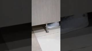 Are you pooping?