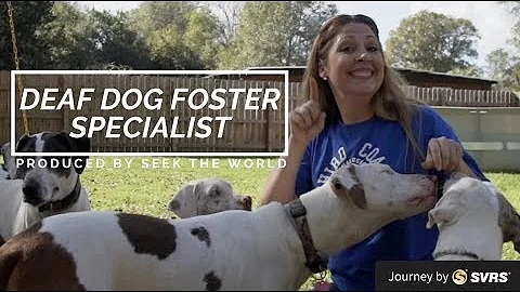 Tabitha Venable: Deaf Dog Specialist Who Has 4 Dea...