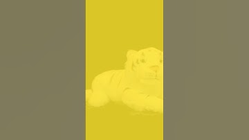 Derp AI Add Round 1957