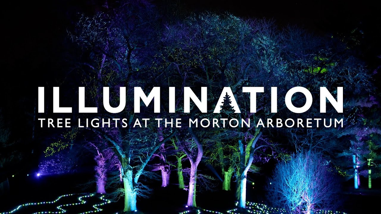 Illumination 